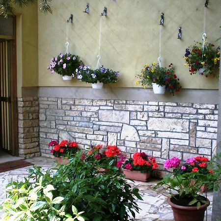 La Casa Di Rachele Daire Sarteano Dış mekan fotoğraf